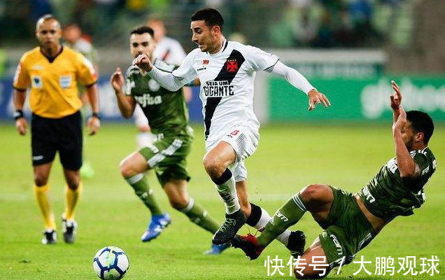 他们更像是 他们更像是