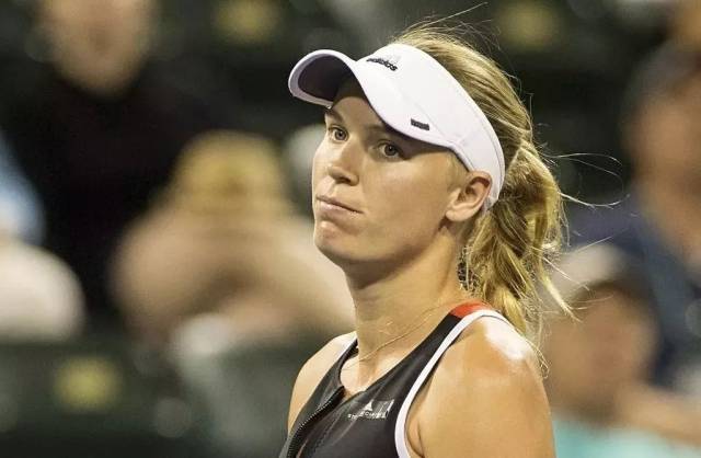 老将的存在 老将的存在