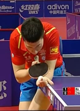 他们只需保 他们只需保